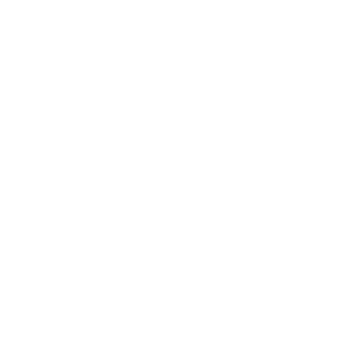 4th Seasons Consulting Logo