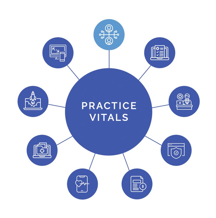 1_practice-vitals-executive-leadership-service Graphic of 4th Season Consulting Practice Vitals with 9 spokes showing Financial & Technical Fractional Executive Leadership spoke